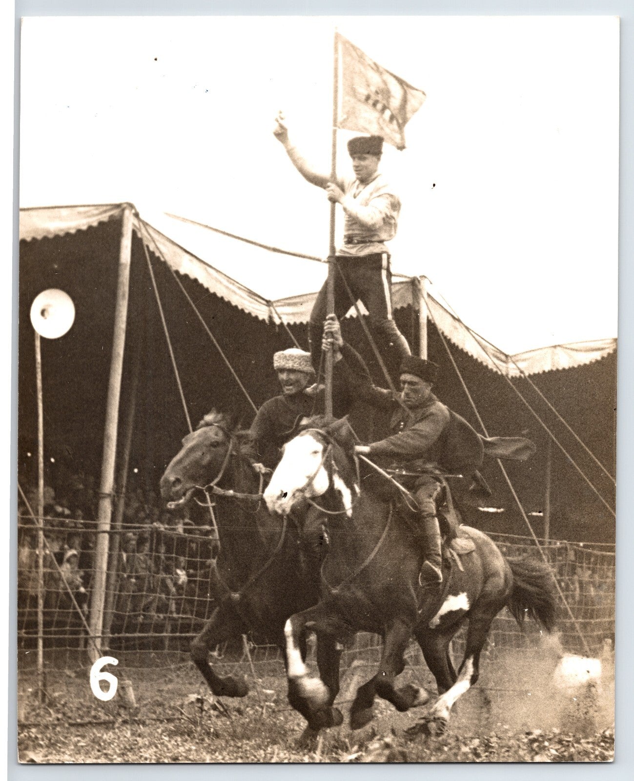 Circus Horse 1960s Photo Cossack Family Trainers Performer 8 x 10