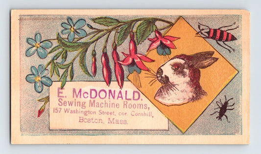 Boston Massachusetts McDonald Sewing Machine Rooms rabbit insect Victorian trade card
