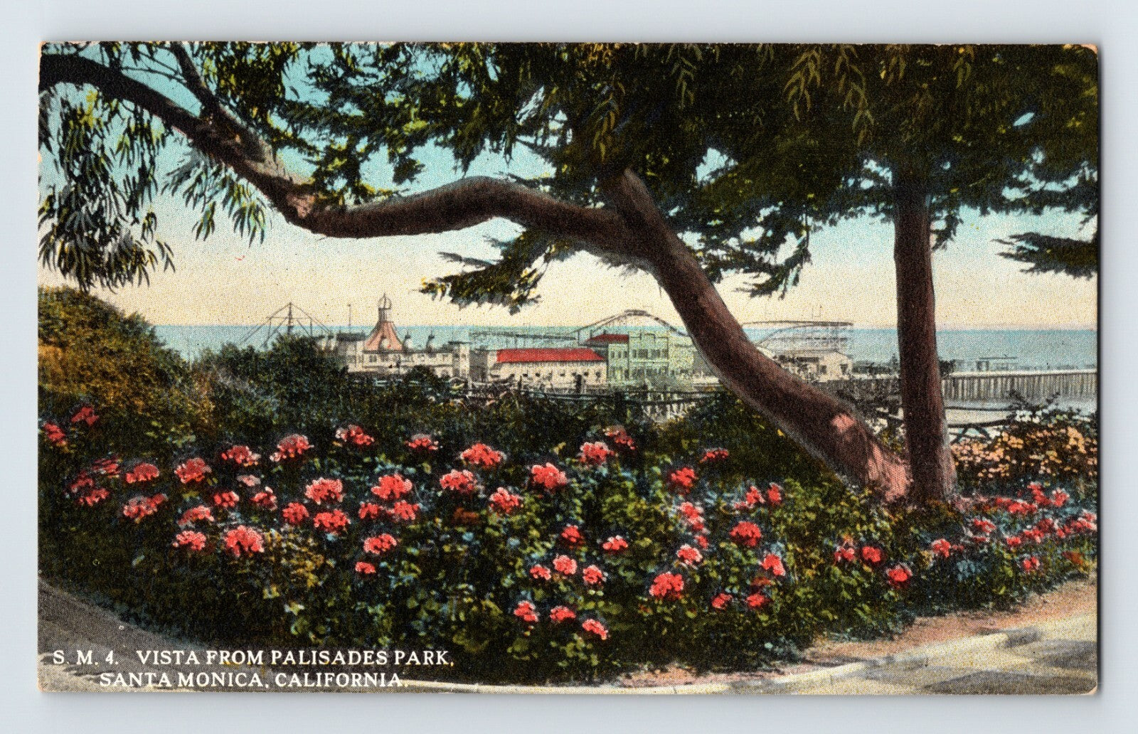 Santa Monica California Palisades Park vista with pier and roller coaster 1910s postcard
