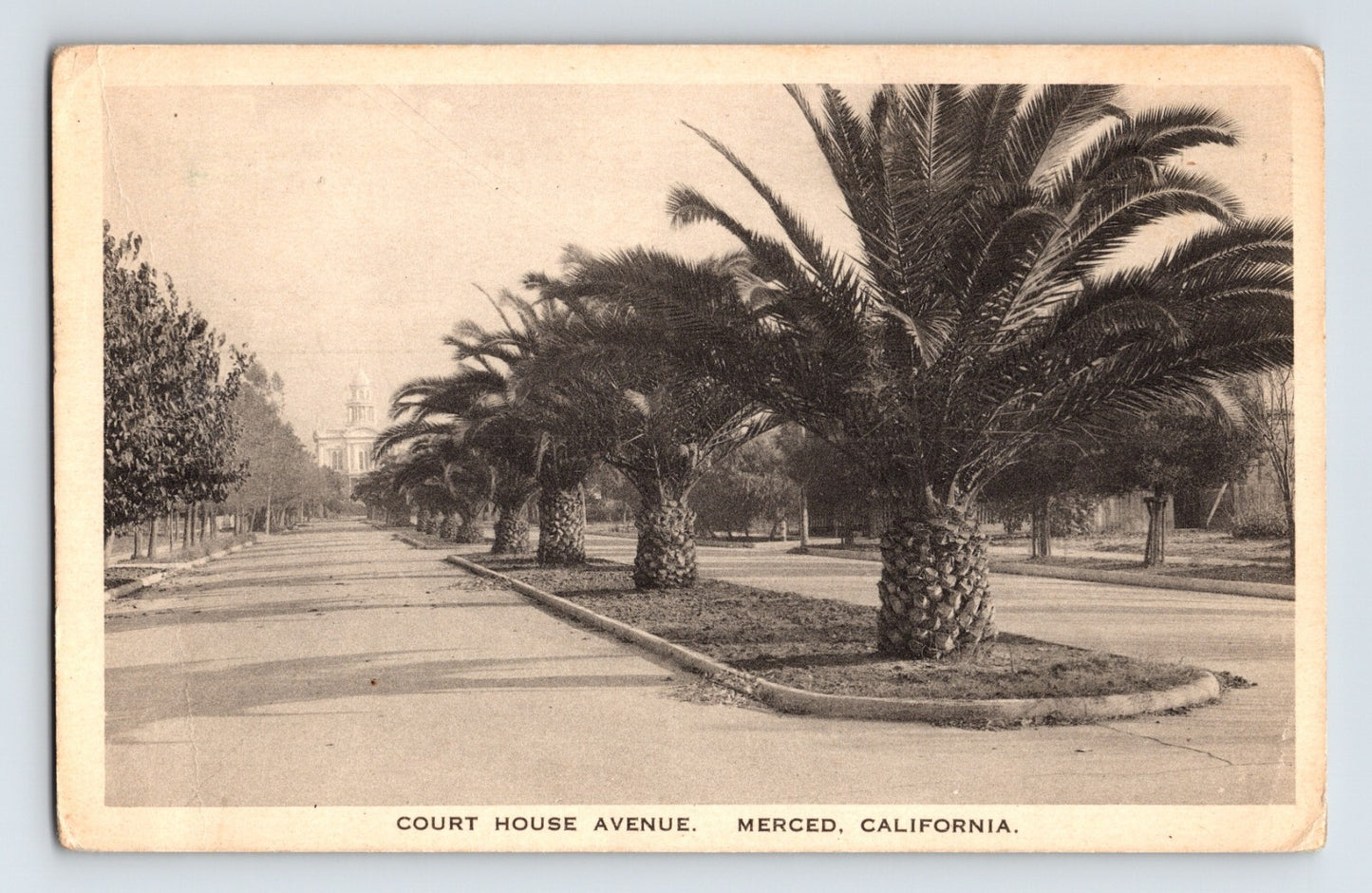 Merced California Court House Avenue 1910s postcard with palm-lined median street view Albertype printing