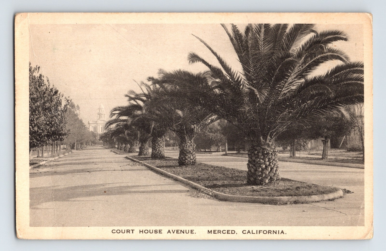 Merced California Court House Avenue 1910s postcard with palm-lined median street view Albertype printing
