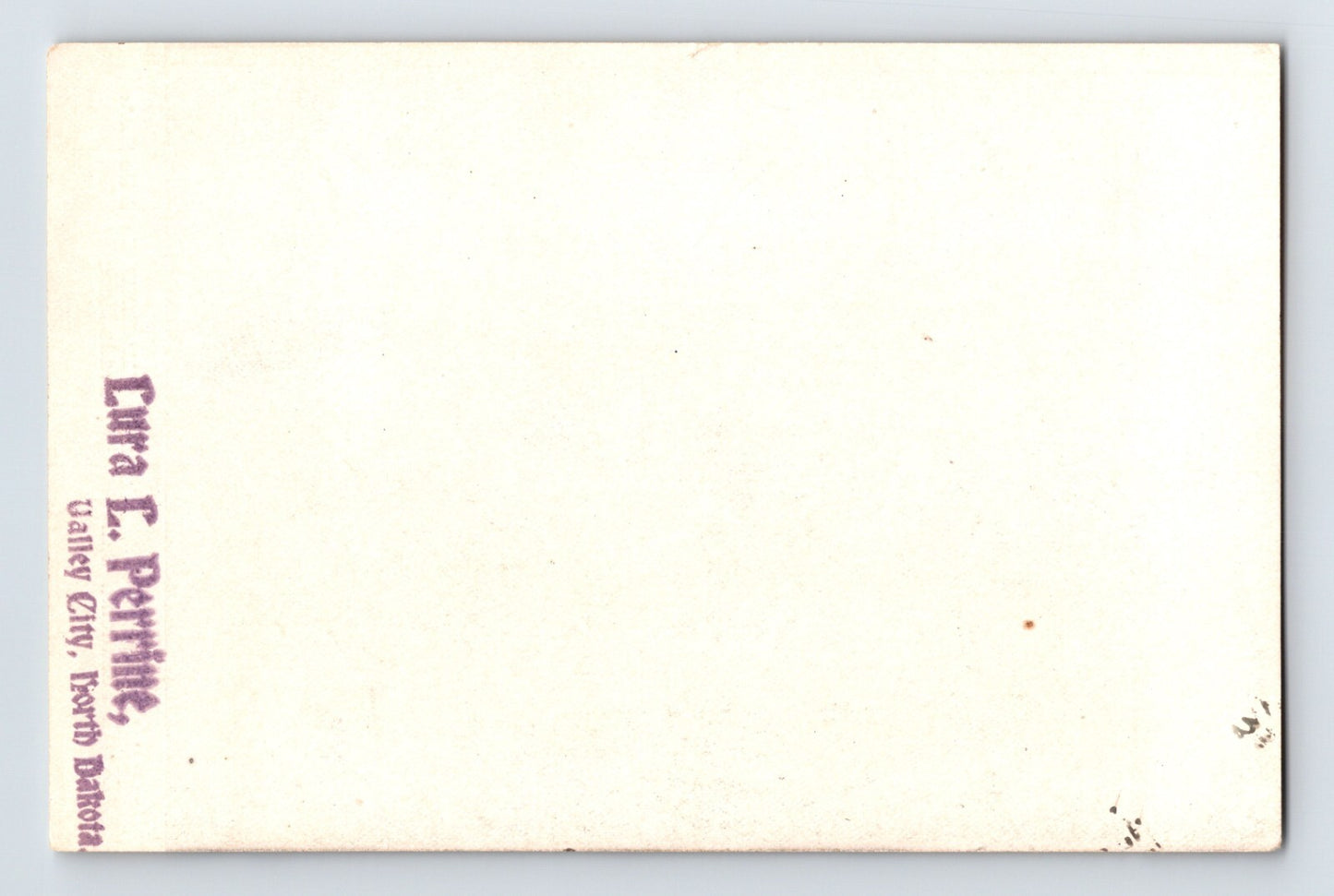 Pasadena California Hotel La Pintoresca Pre-1907 Postcard Unposted Thin Paper