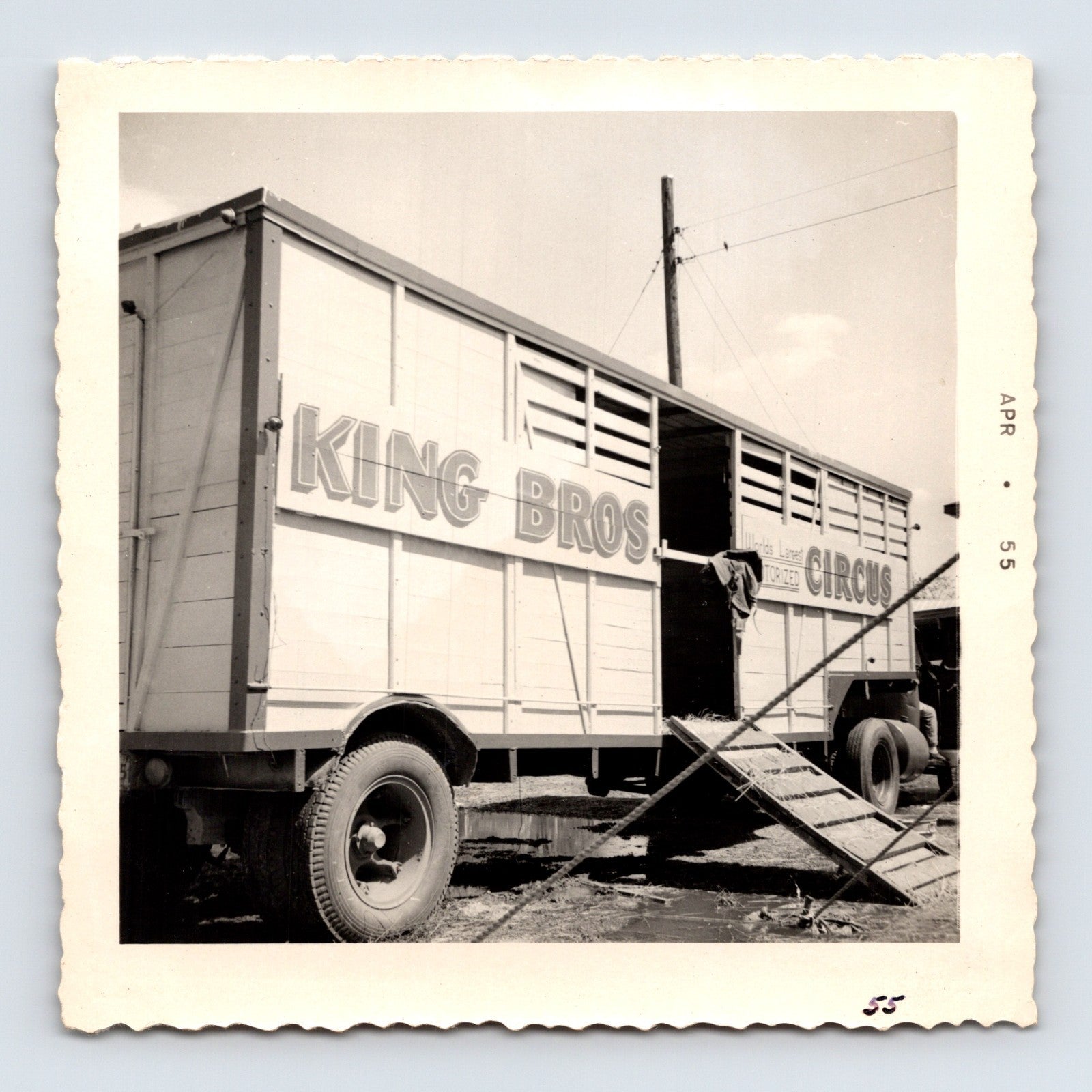 King Bros Circus 1955 photo animal transport trailer with loading ramp open doorway winter quarters