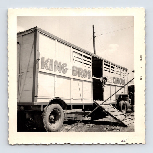 King Bros Circus 1955 photo animal transport trailer with loading ramp open doorway winter quarters