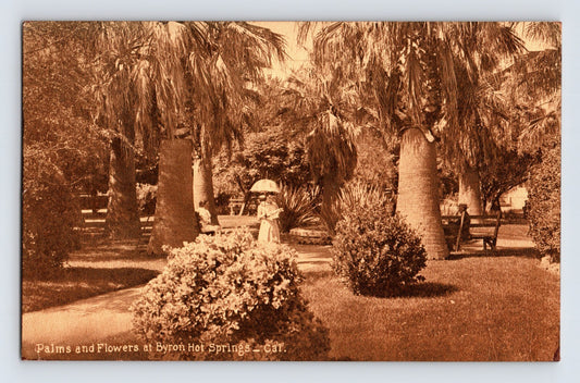 Byron Hot Springs California Resort Garden Palms 1916 Postcard Posted Divided Back