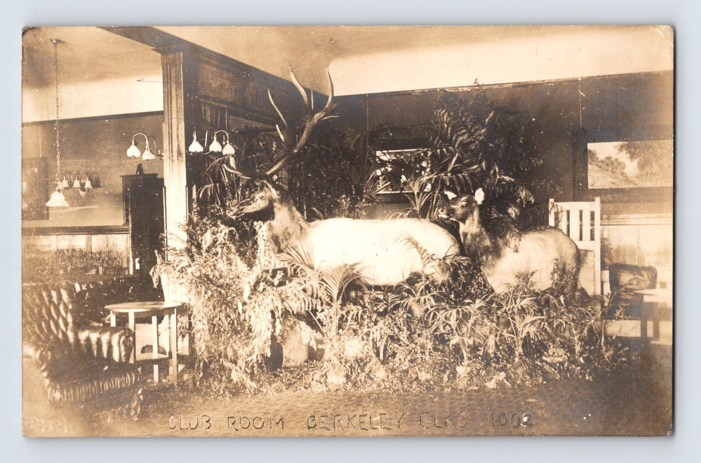 Berkeley California Elks BPOE 1002 Club Room 1910s RPPC Postcard Unposted