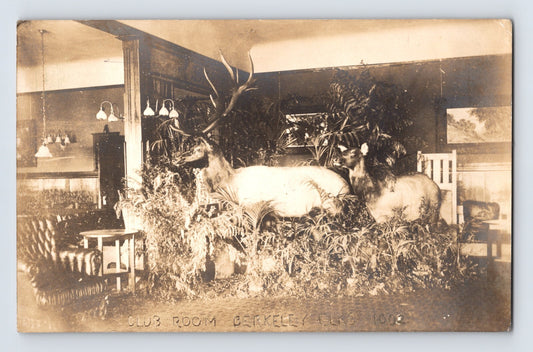 Berkeley California Elks BPOE 1002 Club Room 1910s RPPC Postcard Unposted