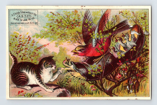 1890s Preble Brothers Fall River Massachusetts trade card featuring cat reaching toward birds in nest with colorful foliage illustration