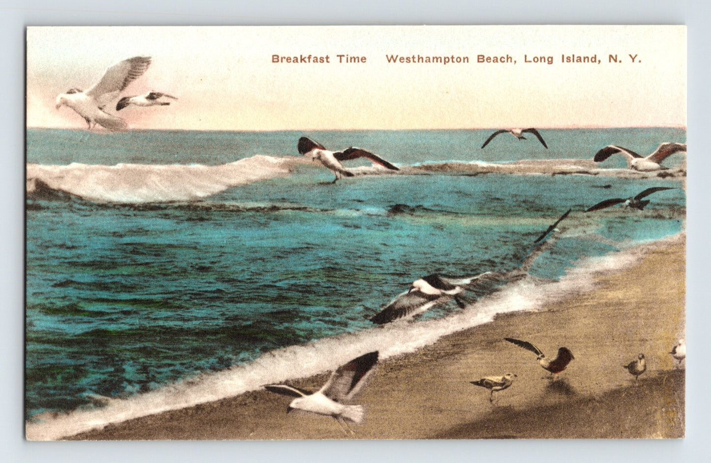Westhampton Beach Long Island New York seagulls shoreline postcard 1920s