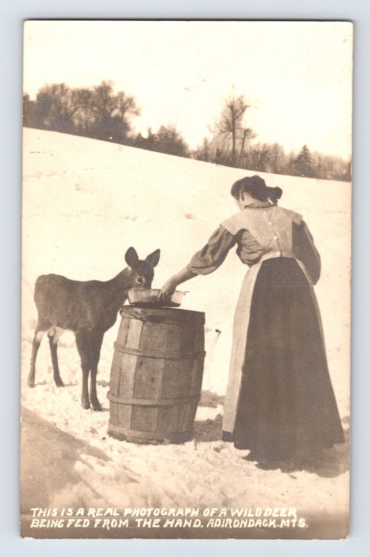 Glenfield New York Woman Feeding Wild Deer Adirondacks 1910s RPPC Postcard