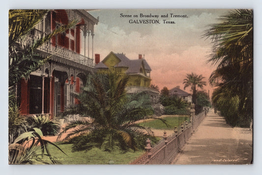 Galveston Texas Broadway and Tremont palm lined sidewalk 1916 postcard