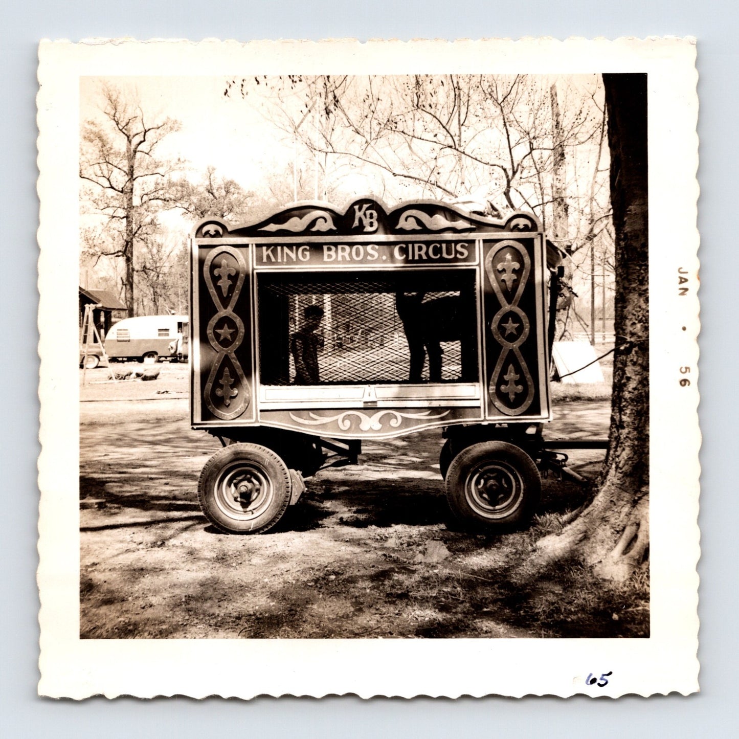 King Bros Circus 1956 animal cage wagon photo with ornate painted side panels and circus lettering - 3.5 x 3.5