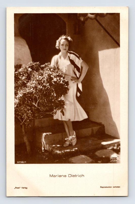Marlene Dietrich portrait 1930s real photo postcard by Ross Verlag showing actress posed on steps beside potted shrub