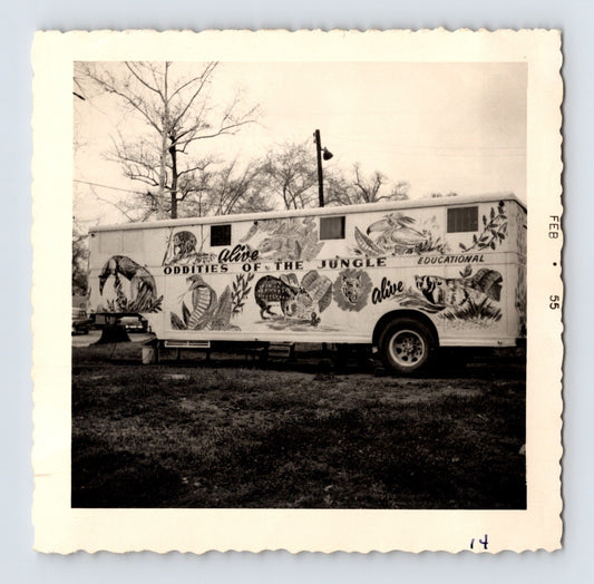 King Bros Circus jungle oddities trailer animal illustrations educational exhibit 1950s photo