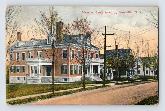 Lowville New York Park Avenue residential houses streetscape postcard