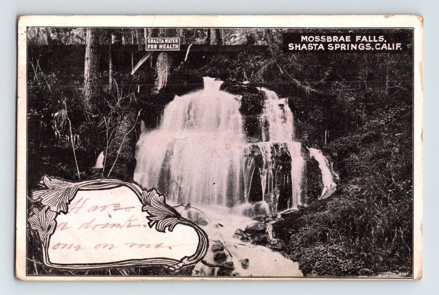 Shasta Springs California Mossbrae Falls waterfall forest early postcard with decorative message panel