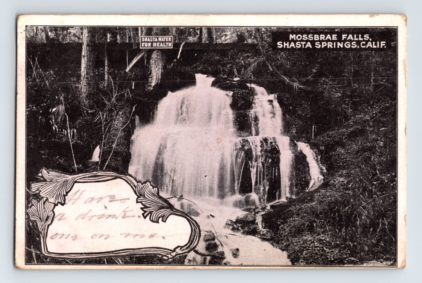 Shasta Springs California Mossbrae Falls waterfall forest early postcard with decorative message panel