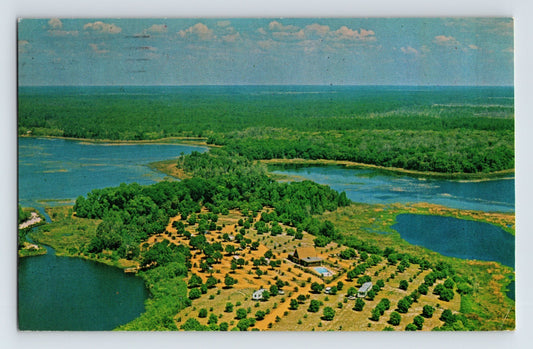 Umatilla Florida Ocala KOA campground aerial view lakes forest RV sites 1979 postcard chrome