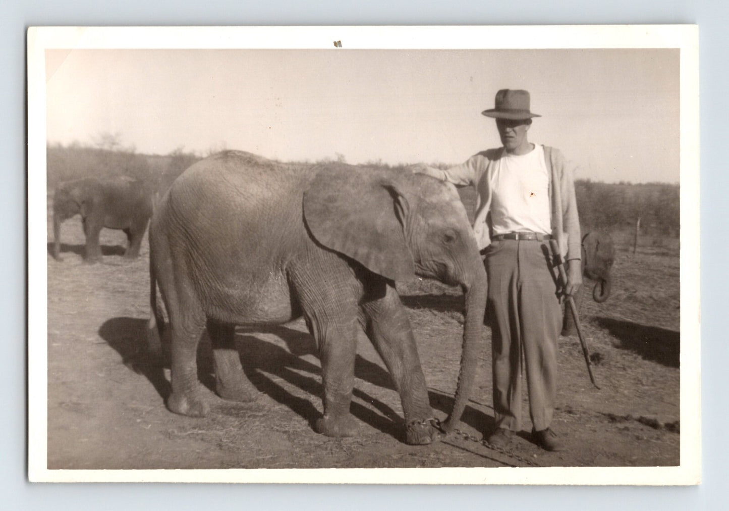 Kelly Miller Circus trainer with baby elephant Hugo Oklahoma 1956 photo