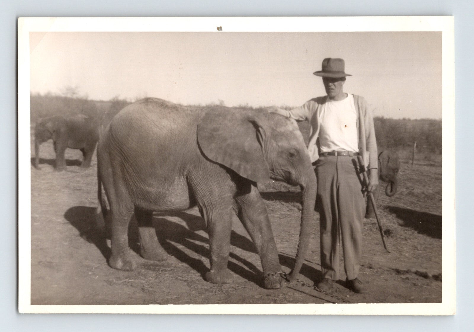 Kelly Miller Circus trainer with baby elephant Hugo Oklahoma 1956 photo