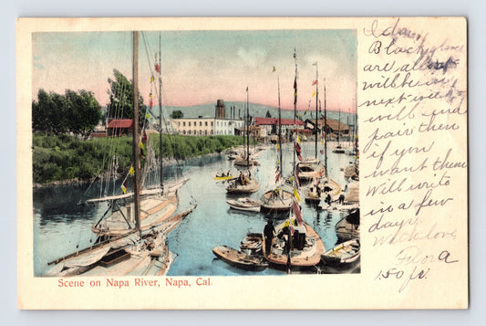 Napa California Napa River postcard showing sailboats and small craft decorated with flags along the riverfront marina.