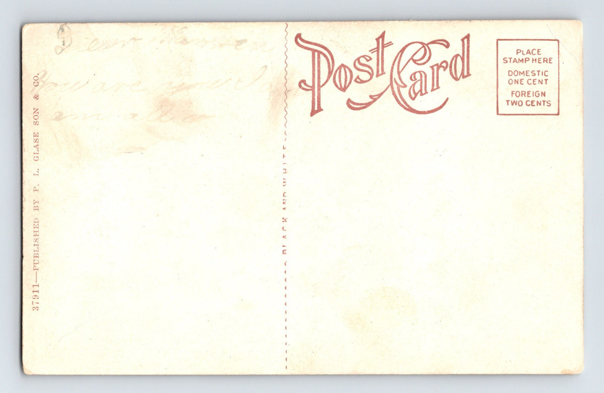 Oley Pennsylvania Valley Railroad Trolley Park 1910s Postcard Unposted
