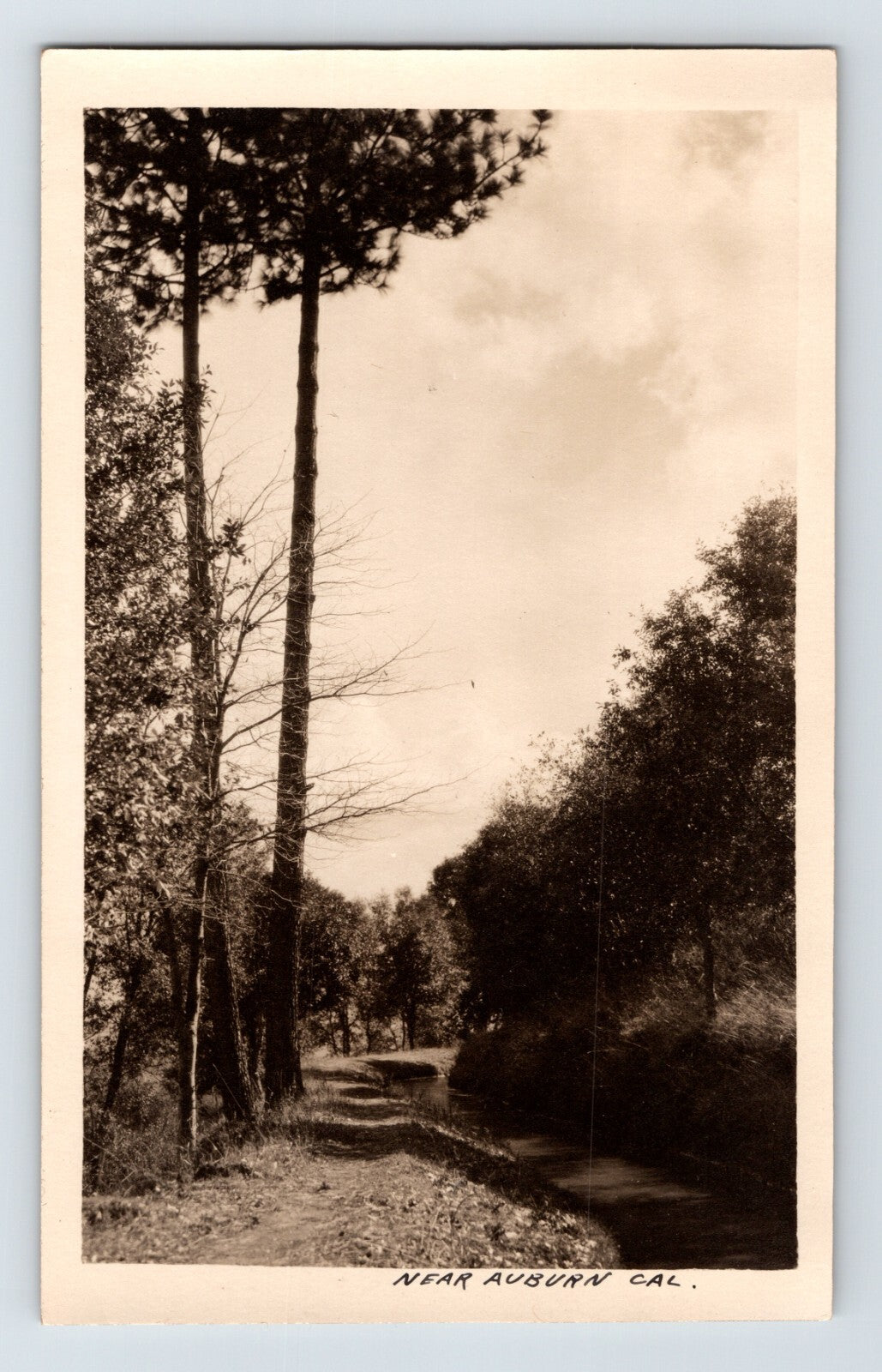 Auburn California Dirt Country Road 1910s RPPC Postcard Unposted