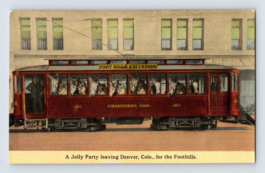 Denver Colorado Railroad Train Foothills Excursion Horses 1910s Postcard