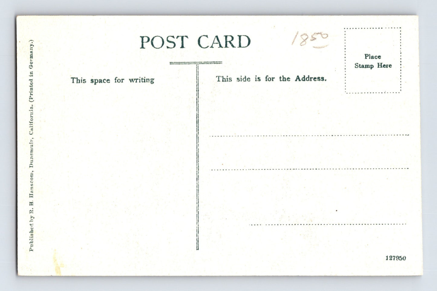 Dunsmuir California Shasta Springs Trail 1910s Postcard Unposted Divided Back