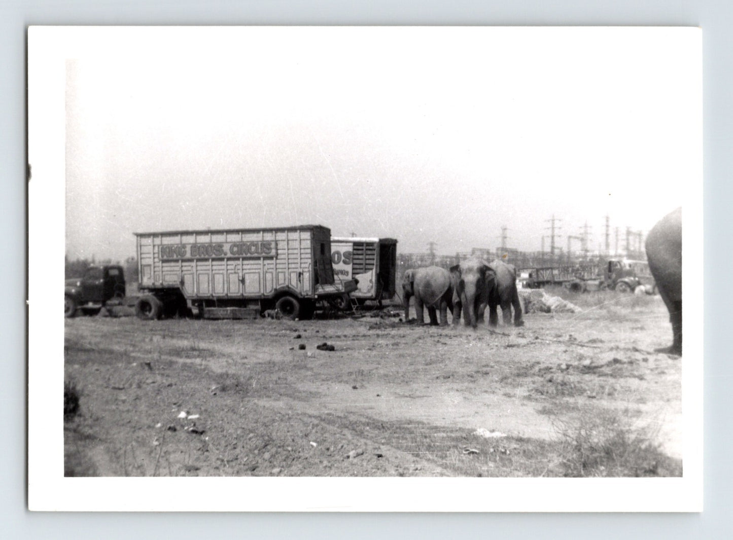 King Bros Circus 1950 photo elephants standing near circus trailers lot scene