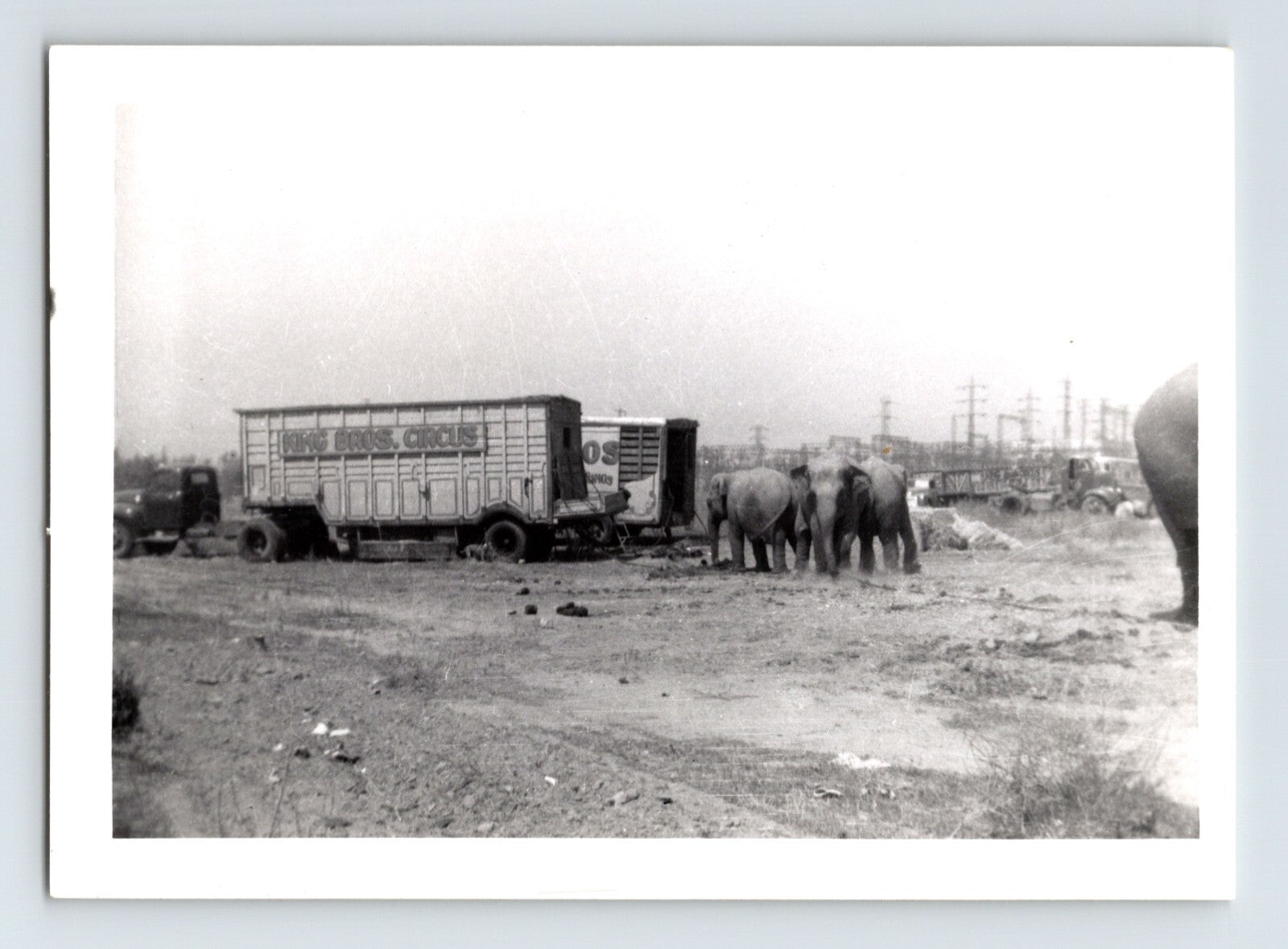 King Bros Circus 1950 photo elephants standing near circus trailers lot scene
