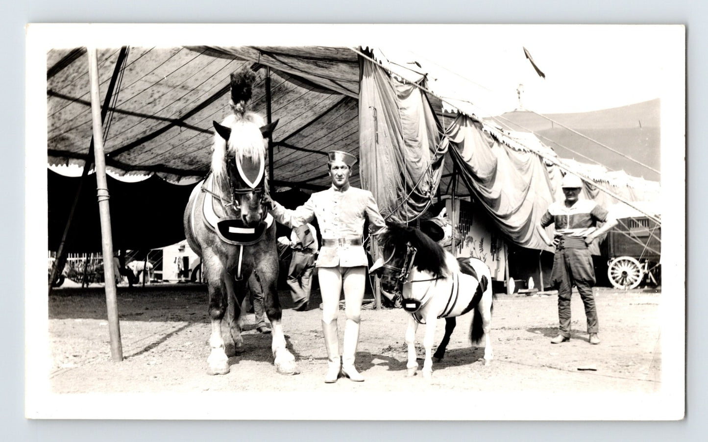 Arthur Konyot 1940s Photo Circus Performer Giant Miniature Horse 3.5 x 6