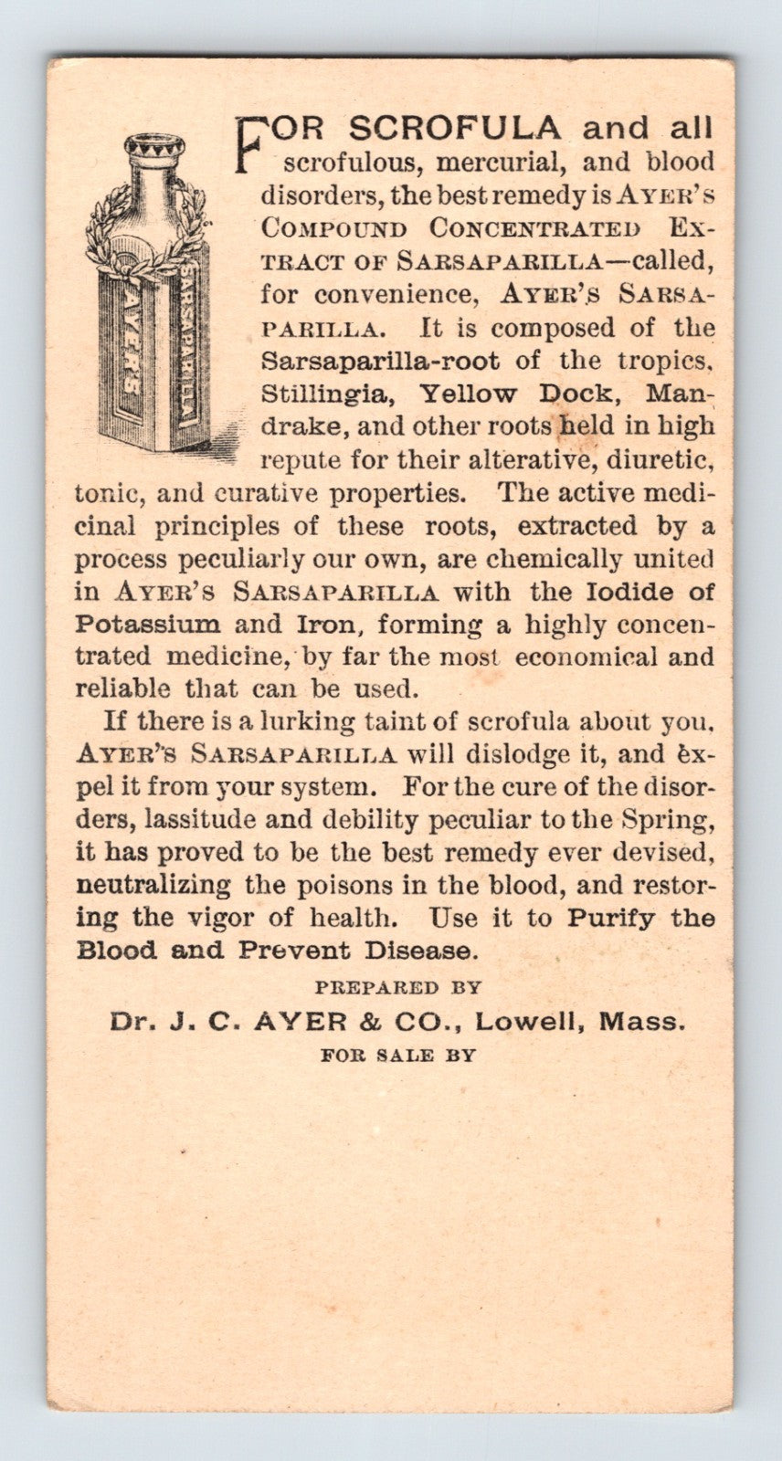 Ayers Sarsaparilla Woman Blood Medicine 1890s Victorian Trade Card 5.25 x 2.5