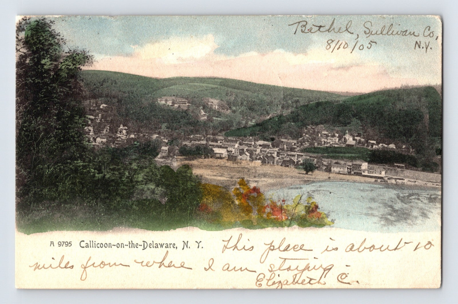 Callicoon on the Delaware New York aerial river valley town 1905 postcard handwritten