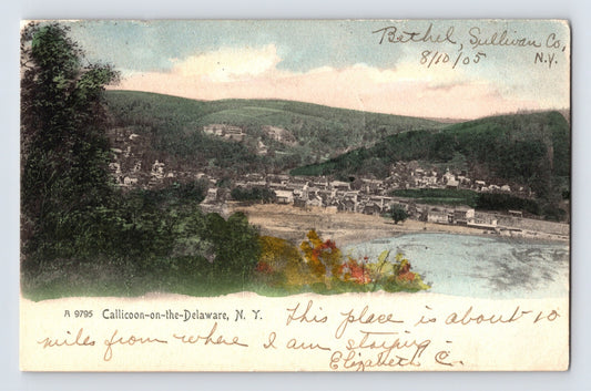 Callicoon on the Delaware New York aerial river valley town 1905 postcard handwritten