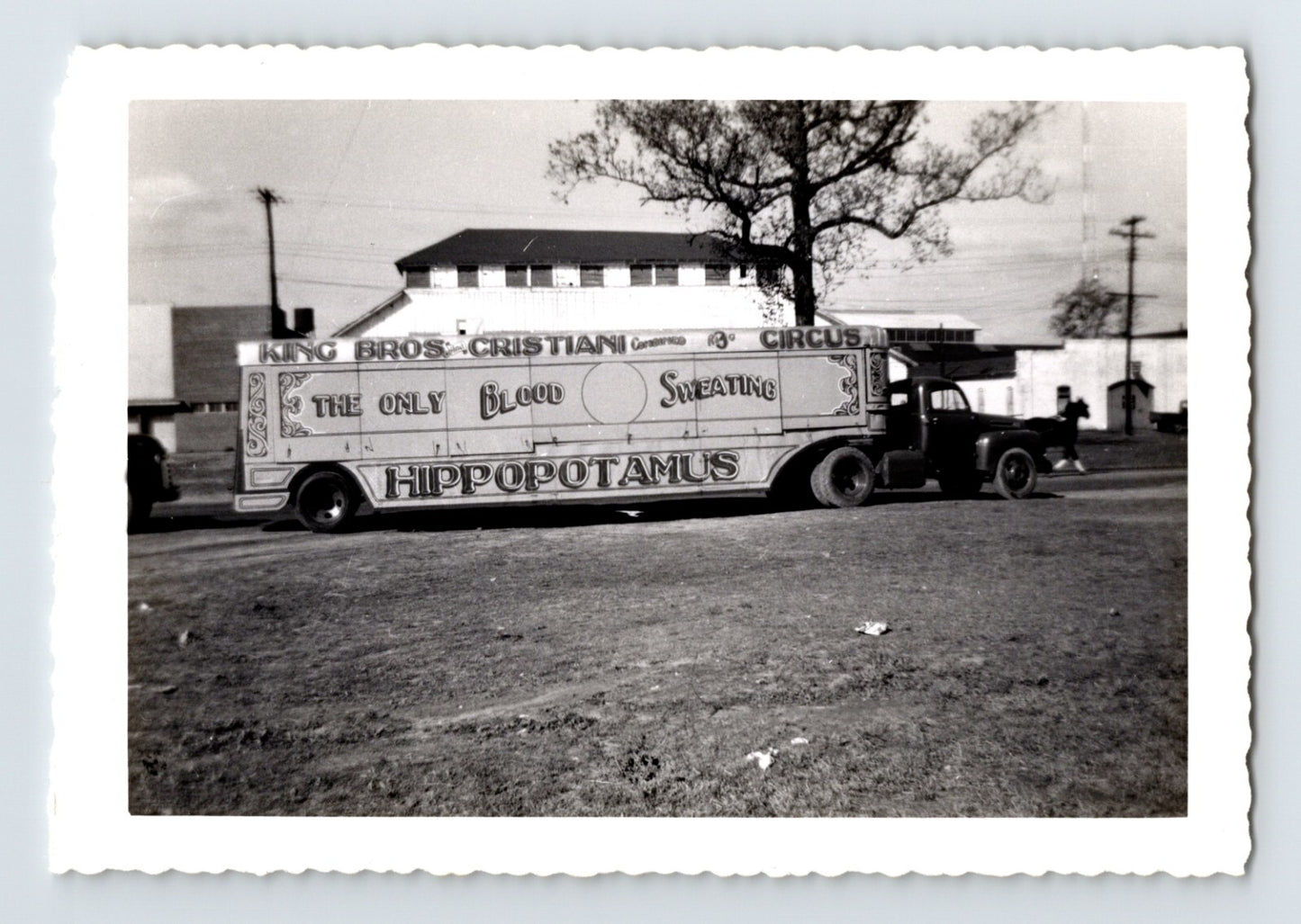 King Cristiani Circus 1940s hippopotamus truck trailer street scene