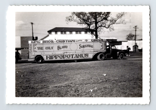 King Cristiani Circus 1940s hippopotamus truck trailer street scene