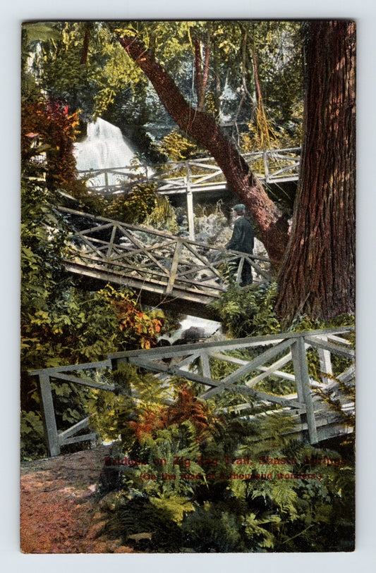 Shasta Springs California zig zag trail bridges waterfall forest 1910s postcard