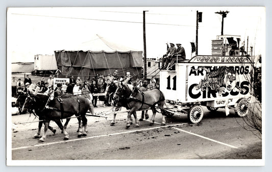 Arthur Bros Circus parade wagon with tiger artwork pulled by horses Louisville Kentucky 1967 circus street parade photograph