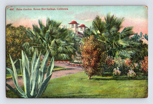 Vintage postcard of a garden scene with palm trees and a building in the background, labeled 'Palm Garden, Byron Hot Springs, California'.