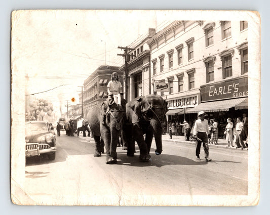 King Cristiani Circus elephants parading down street in Chambersburg Pennsylvania with storefronts and spectators 4 x 5 photograph