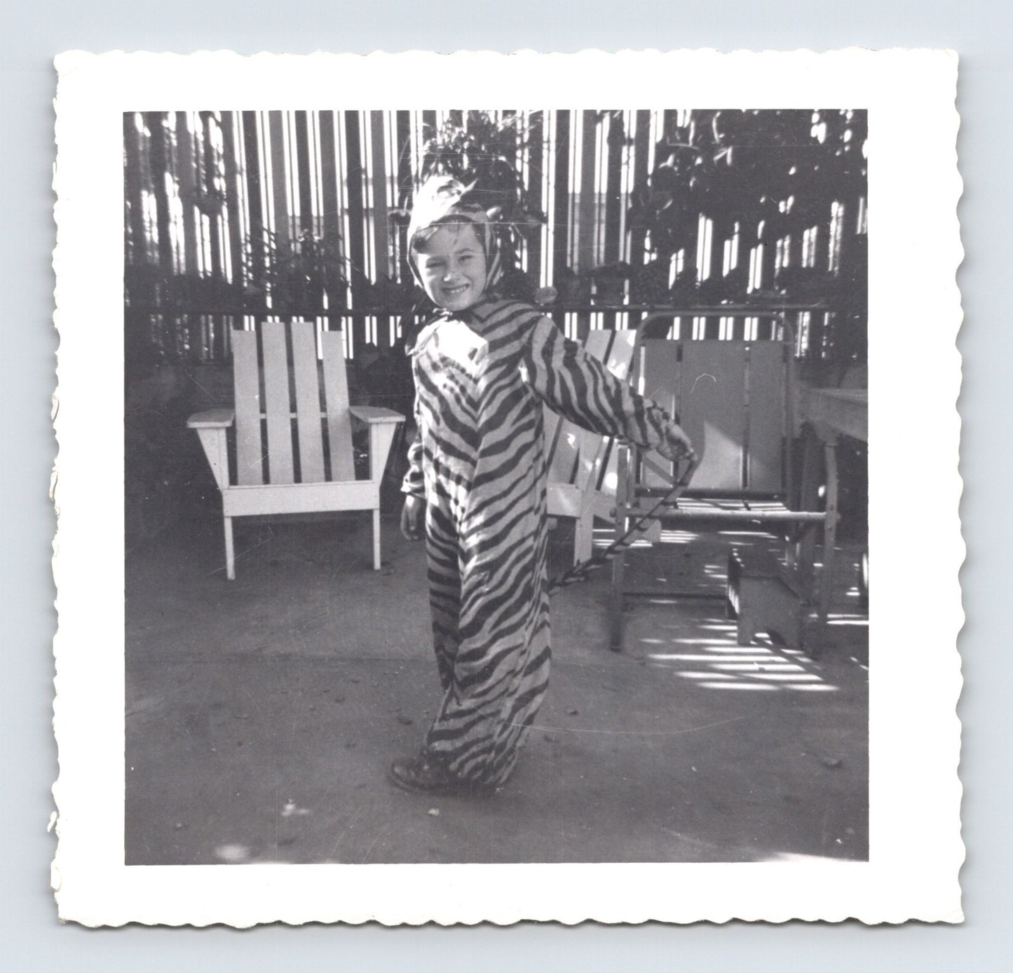 Child Halloween tiger costume striped outfit backyard patio chairs October 1950 snapshot