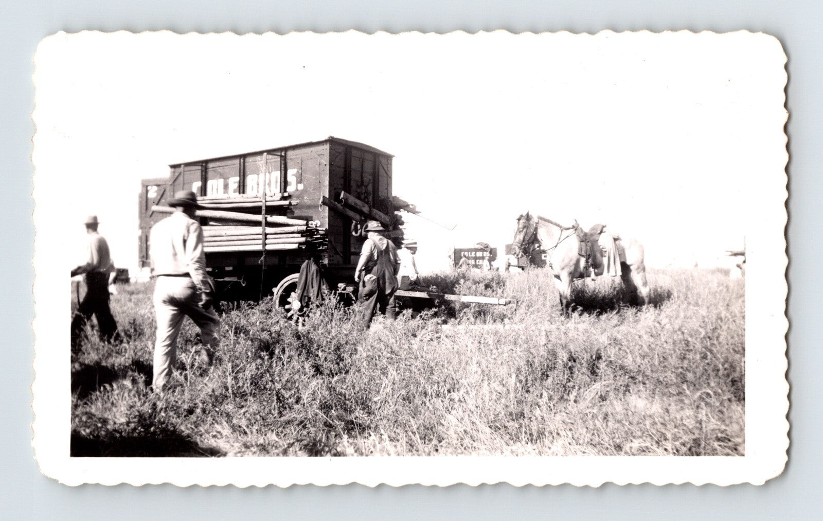 Cole Brothers Circus elephant act McCook Nebraska 1944 trainer wagon field photo 