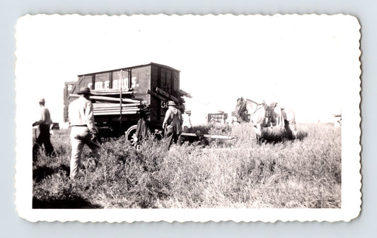 Cole Brothers Circus elephant act McCook Nebraska 1944 trainer wagon field photo 