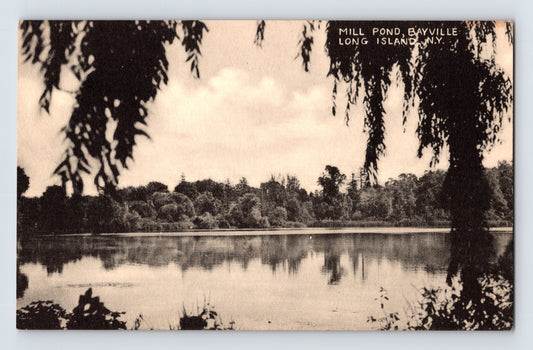 Black and white postcard view of Mill Pond in Bayville Long Island New York with tree branches framing a calm reflective shoreline scene