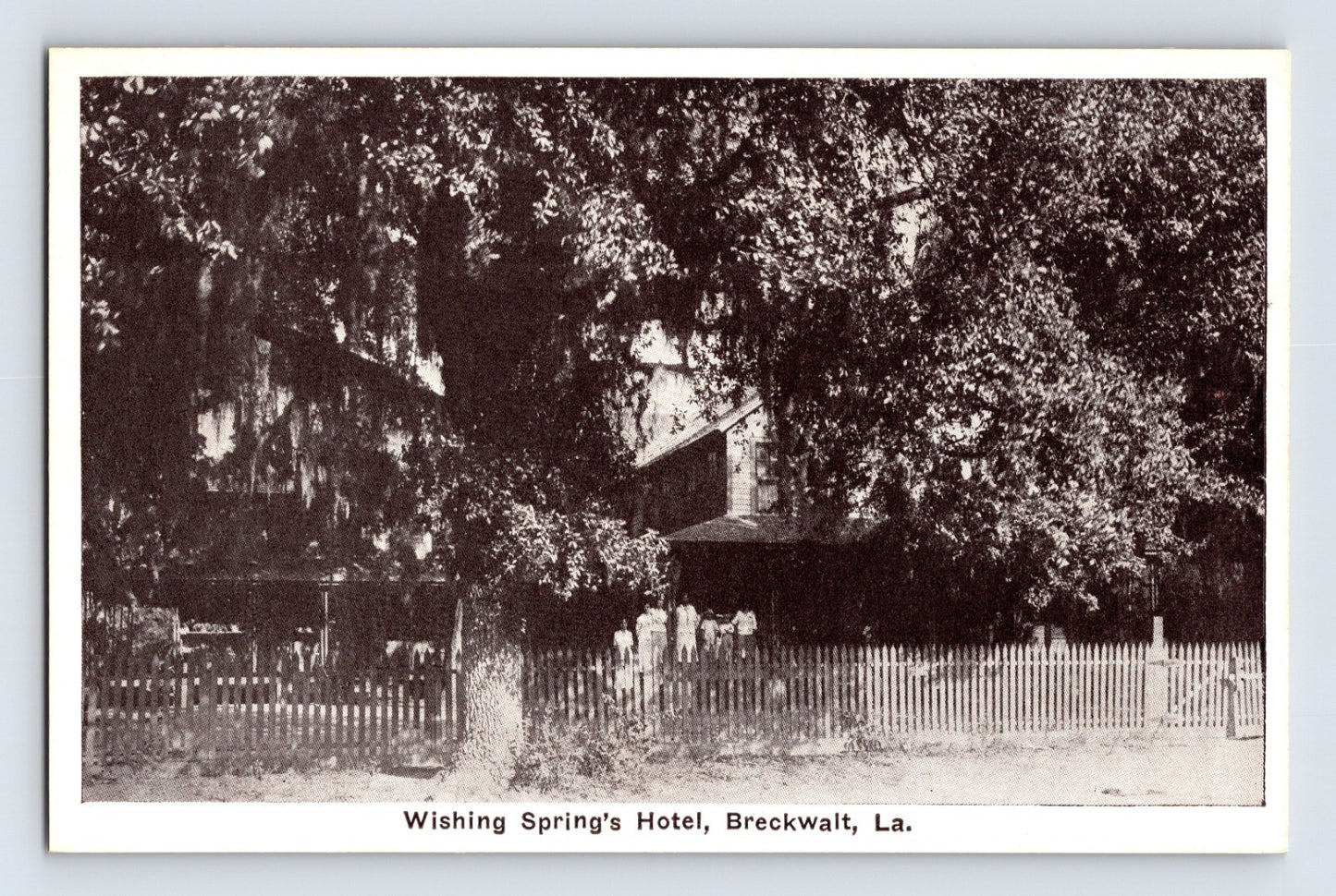 Black-and-white postcard view of Wishing Spring’s Hotel in Breckwalt, Louisiana, showing a shaded historic building behind a white picket fence beneath large oak trees.