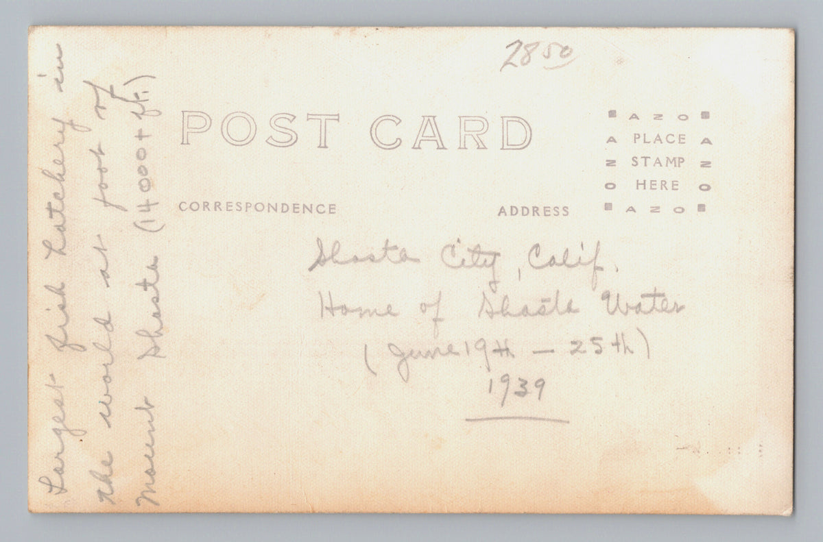 Mt Shasta California McCloud Fish Hatchery 1930s RPPC Postcard Unposted AZO