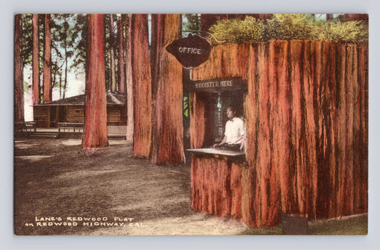 Mendocino California Lane Redwood Flat booth redwood trees office register 1930s hand colored postcard