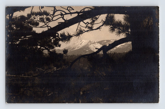 San Bernardino California Mount San Gorgonio Old Greyback 1920s RPPC Postcard