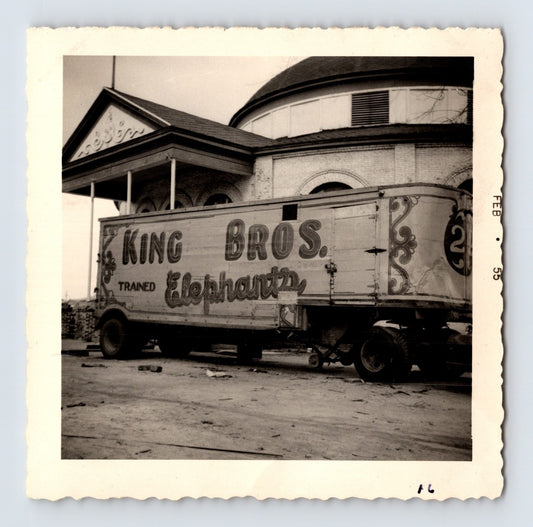 King Bros Circus trained elephants trailer parked beside domed circus building February 1955 photo